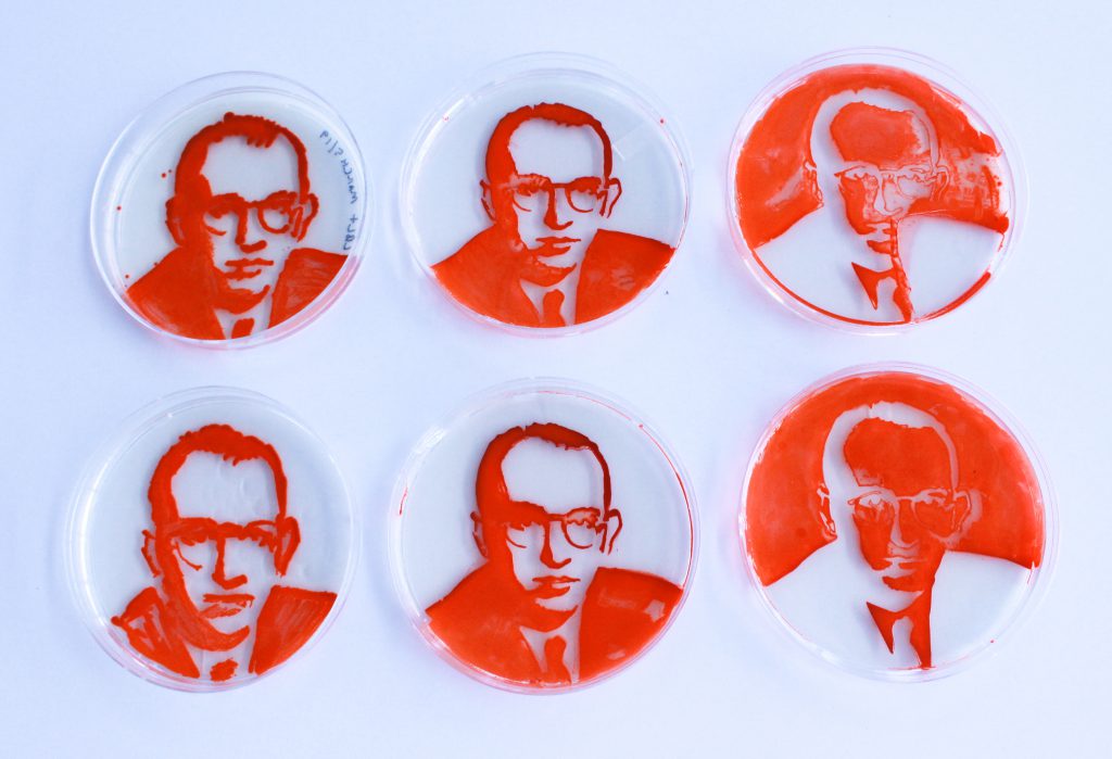 serratia bacteria portraits of Jonas Salk