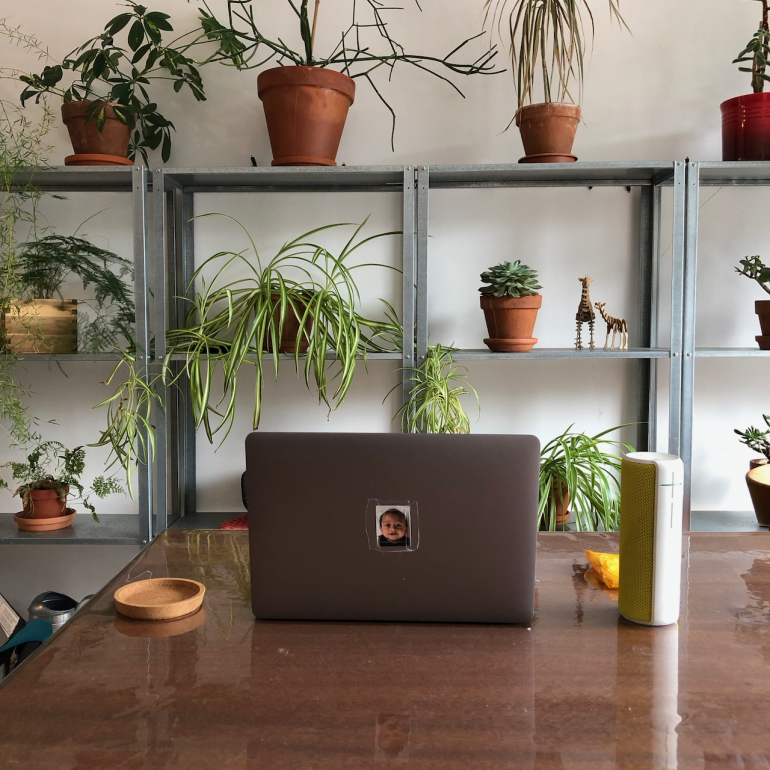 a home office with several potted plants in the background