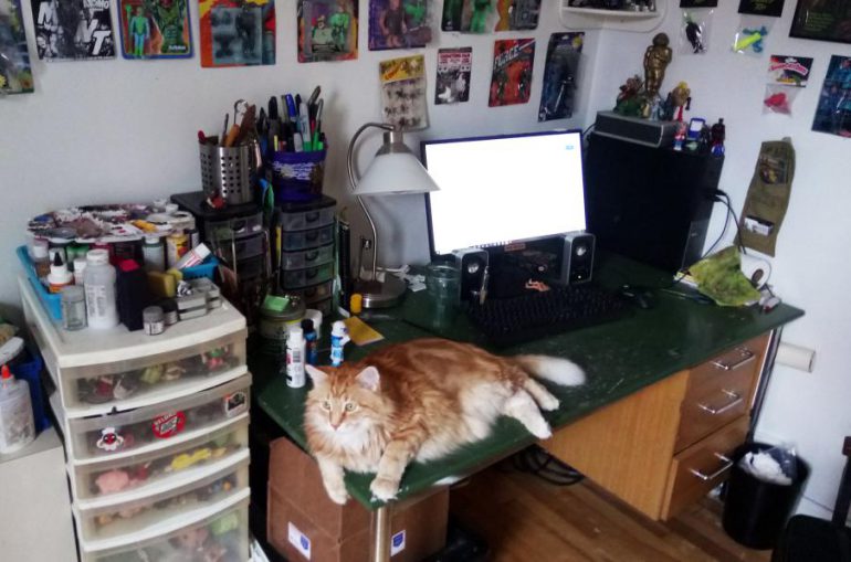 a green desk with a computer and a cat on it